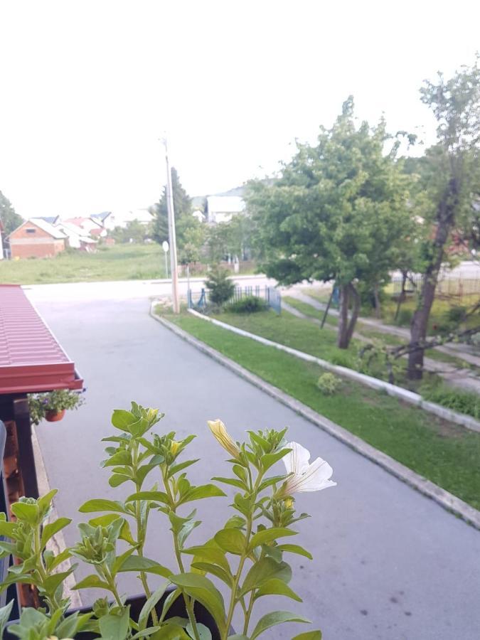 Apartmani Brigita 科雷尼察 外观 照片