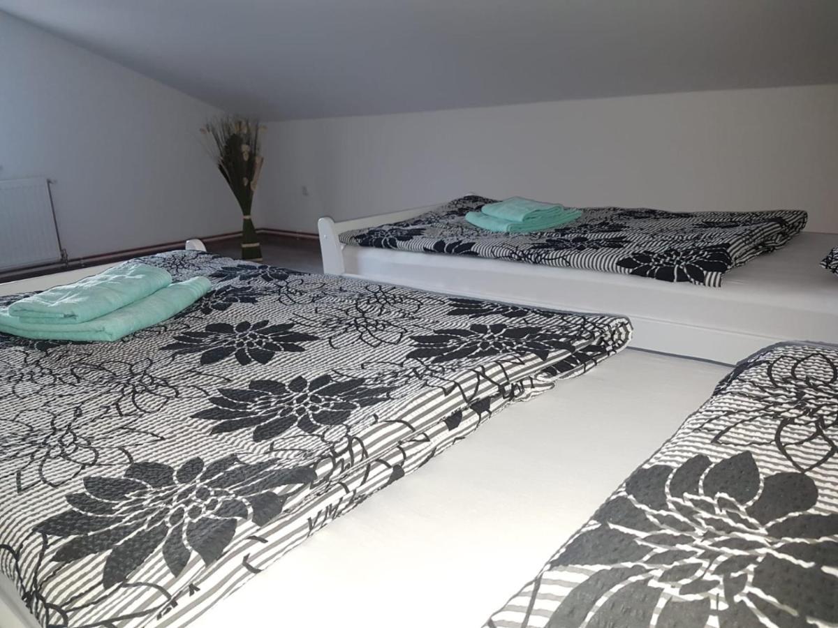 Apartmani Brigita 科雷尼察 外观 照片